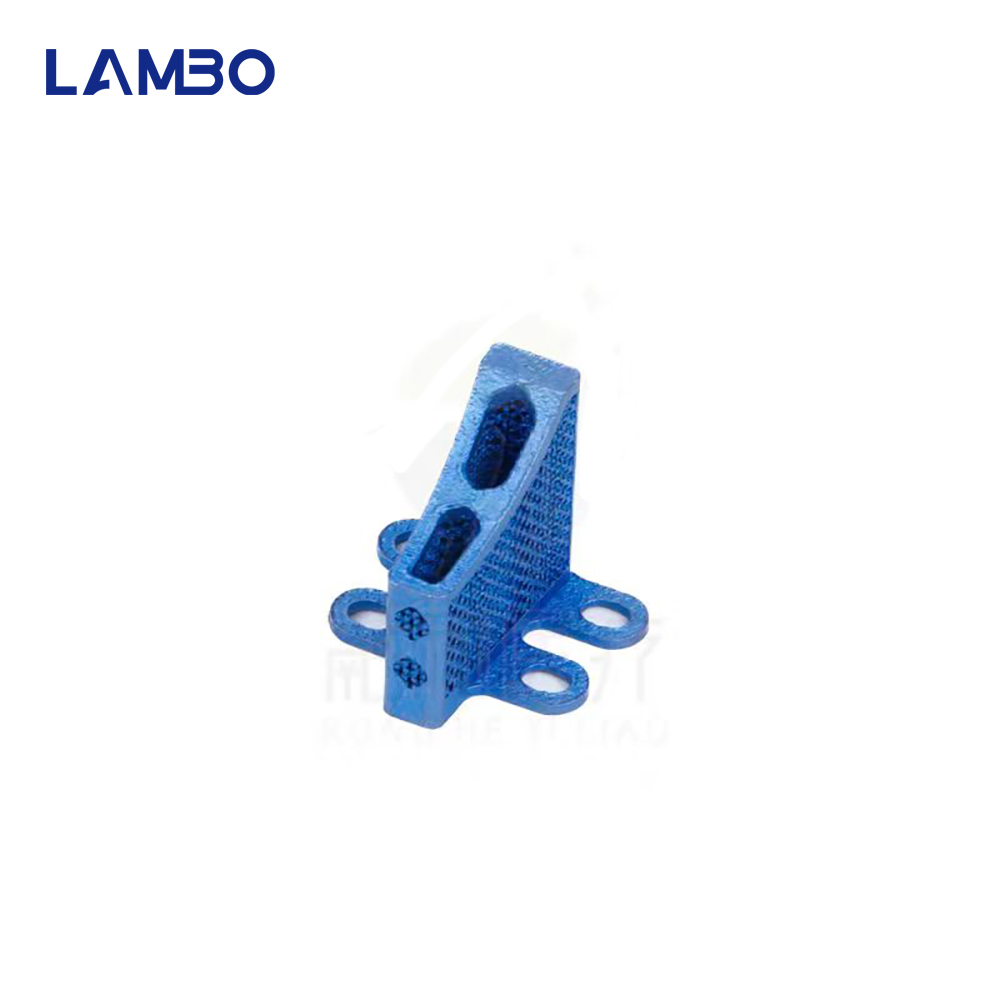3D-gedruckte TTA-System-Käfigk – 3D Printing Orthopedics Bewertung und Preis
