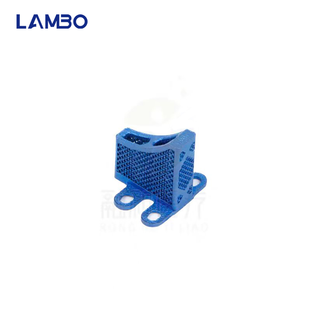 3D-gedruckte TTA-System-Käfigk – 3D Printing Orthopedics Bewertung und Preis